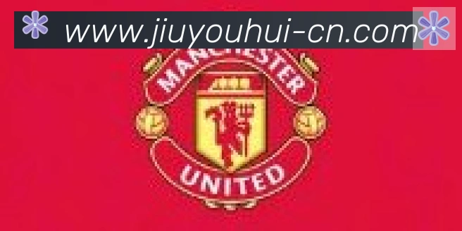 九游会合作伙伴
